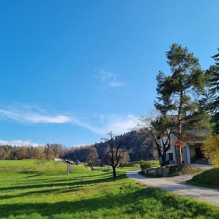 M&M Apartment Zgornje Gorje 外观 照片