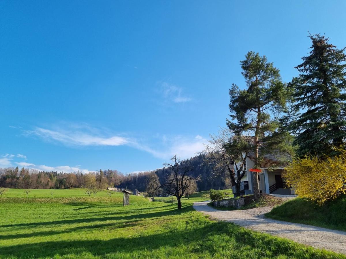 M&M Apartment Zgornje Gorje 外观 照片